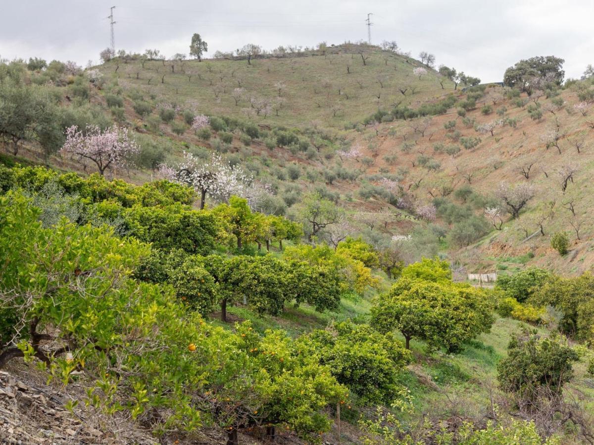 Almogía Alojamiento Rural Casa La Era מראה חיצוני תמונה
